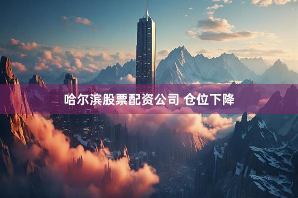 哈尔滨股票配资公司 仓位下降