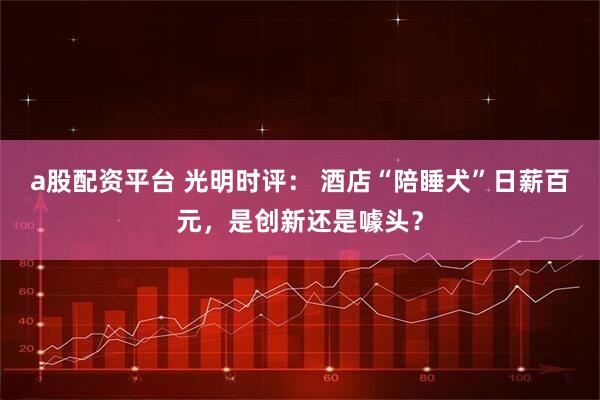 a股配资平台 光明时评： 酒店“陪睡犬”日薪百元，是创新还是噱头？