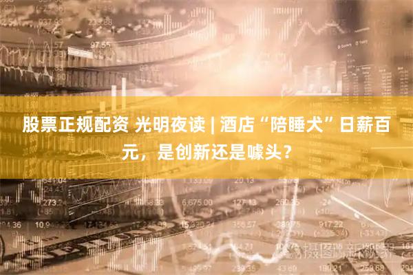 股票正规配资 光明夜读 | 酒店“陪睡犬”日薪百元，是创新还是噱头？