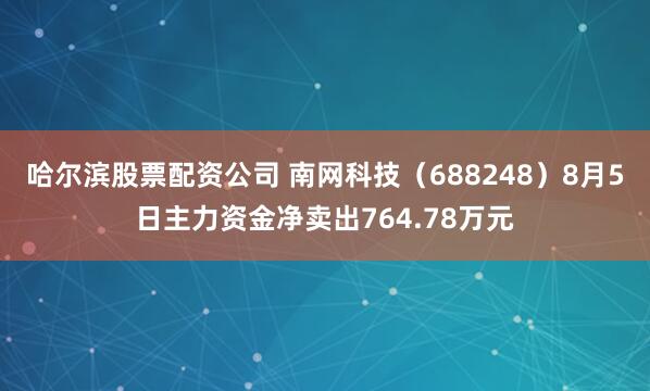哈尔滨股票配资公司 南网科技（688248）8月5日主力资金净卖出764.78万元
