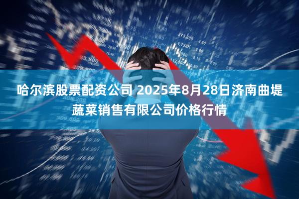 哈尔滨股票配资公司 2025年8月28日济南曲堤蔬菜销售有限公司价格行情