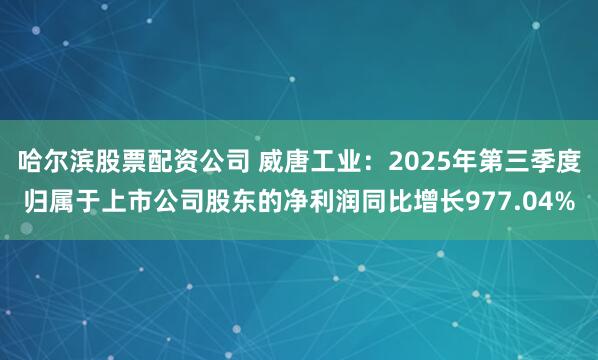 哈尔滨股票配资公司 威唐工业：2025年第三季度归属于上市公司股东的净利润同比增长977.04%